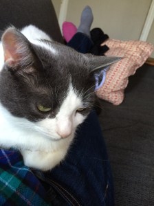 Josephine is thrilled at the idea.